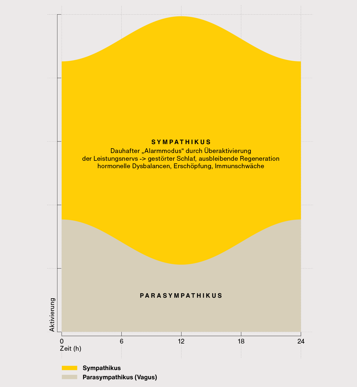 Grafik zum autonomen Nervensystem im Ungleichgewicht: Dominanz des Sympathikus bei dauerhaftem Stress mit unterdrückter Parasympathikus- (Vagus-)Aktivität über den Tagesverlauf.