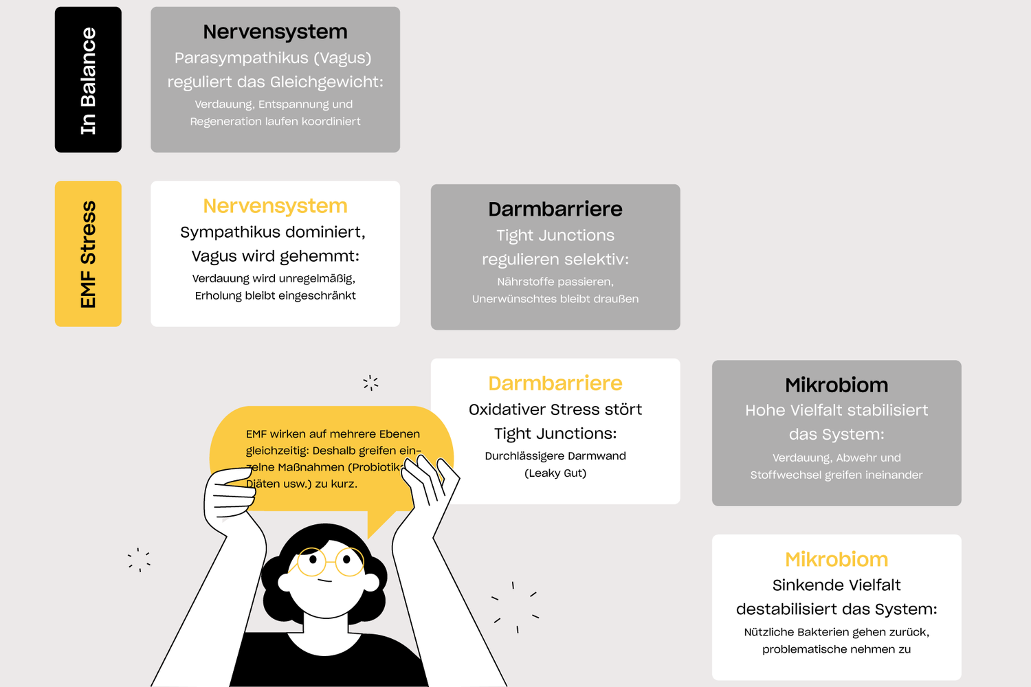 Infografik zeigt den Einfluss von EMF-Stress auf Nervensystem, Darmbarriere und Mikrobiom: Sympathikus dominiert, Verdauung und Regeneration werden gestört, die Darmwand wird durchlässiger und die mikrobielle Vielfalt nimmt ab.