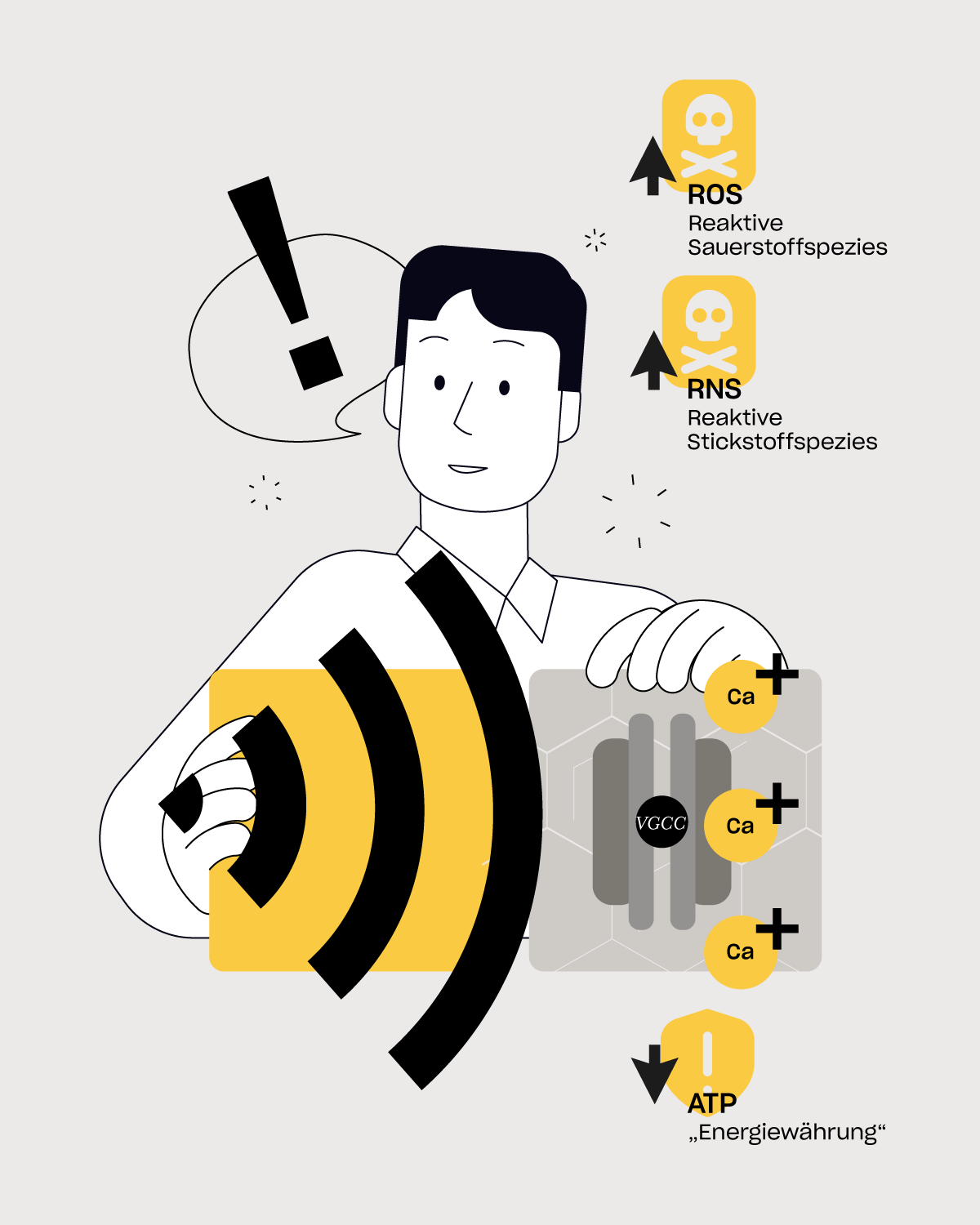 Infografik zeigt, wie EMF Stress und Erschöpfung fördern: erhöhte ROS/RNS, aktivierte Kalziumkanäle (VGCC) mit gesteigertem Ca²⁺-Einstrom und reduzierte ATP-Produktion.