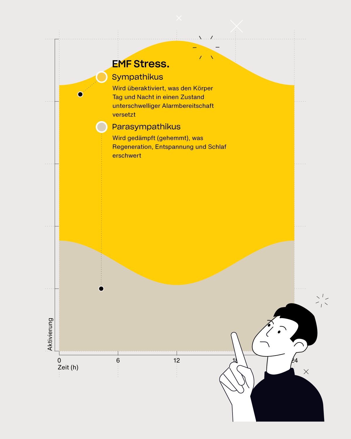 Infografik zum autonomen Nervensystem im Ungleichgewicht: Dominanz des Sympathikus bei dauerhaftem Stress mit unterdrückter Parasympathikus- (Vagus-)Aktivität über den Tagesverlauf.