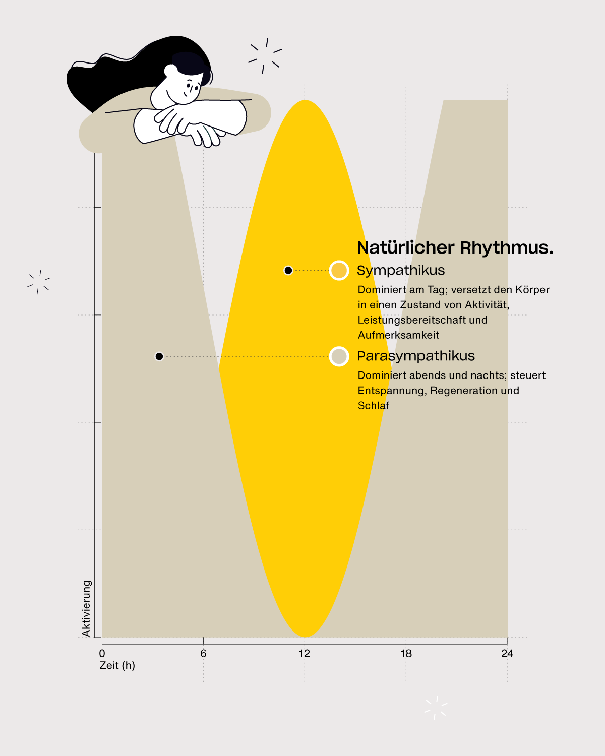 Infografik zum autonomen Nervensystem: Darstellung des Tagesrhythmus von Sympathikus und Parasympathikus (Vagus) mit wechselnder Aktivierung zwischen Stress und Erholung über 24 Stunden.