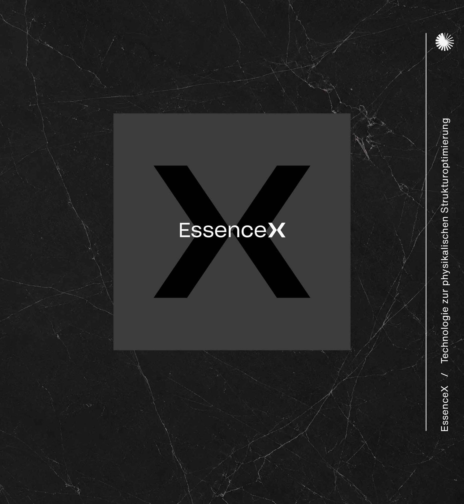 Logo der EssenceX-Technologie auf Detailansicht von EssenceX-Schungit – mit natürlicher Maserung und polierter Oberfläche.