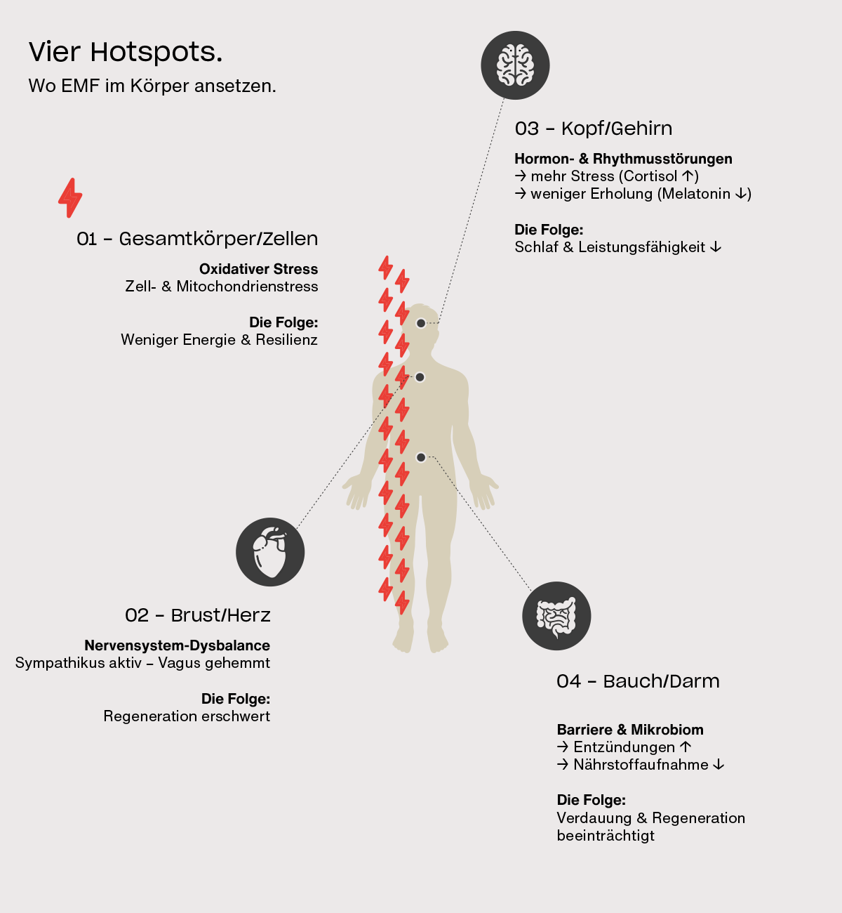 Infografik mit vier EMF-Hotspots im Körper: Darstellung der Auswirkungen elektromagnetischer Felder auf Zellen, autonomes Nervensystem, Gehirn und Darm mit Folgen für Stressregulation, Energie, Schlaf und Regeneration.